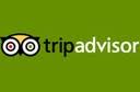 trip advisor